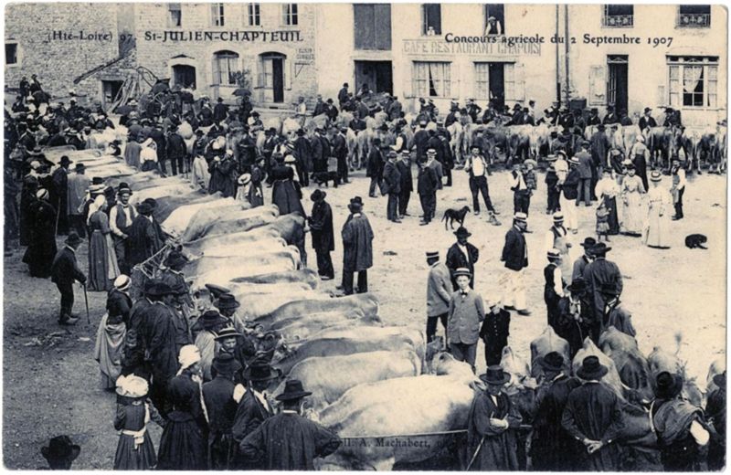 Archives départementales de la Haute-Loire. Cartes postales anciennes de Haute-Loire (Concours agricole du 2 septembre 1907, 12 Fi SAINT-JULIEN-CHAPTEUIL 19).