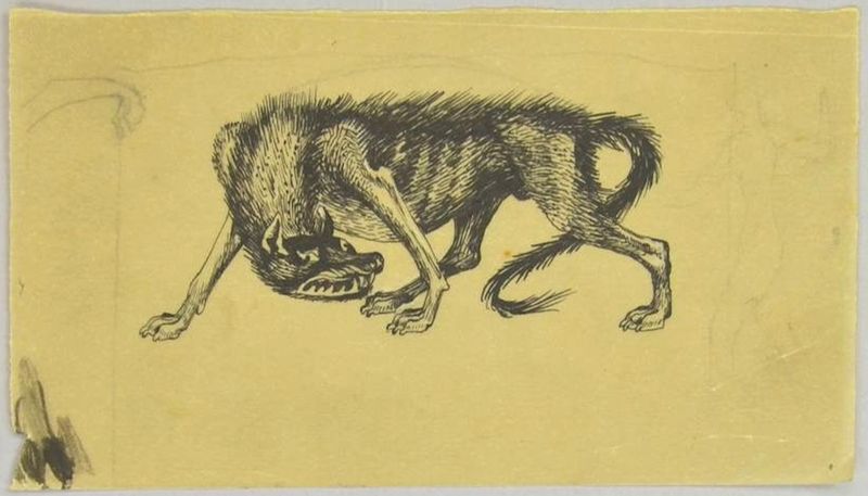 Archives départementales de la Haute-Loire. Dessin de Philippe Kaeppelin, encre sur calque, la bête du Gévaudan, illustration pour l'ouvrage de Henri Pourrat (299 J).