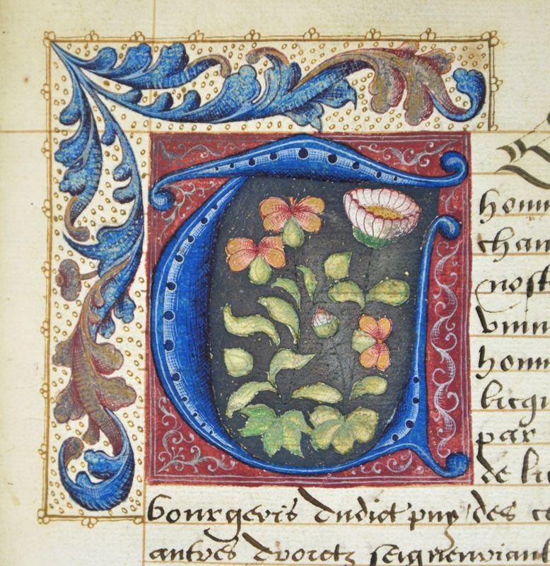 Terrier de Mézères et de son mandement pour Pierre de Licques, seigneur de Ferragne, 1510 (Arch. dép. Haute-Loire, 1 E 395 BIS)