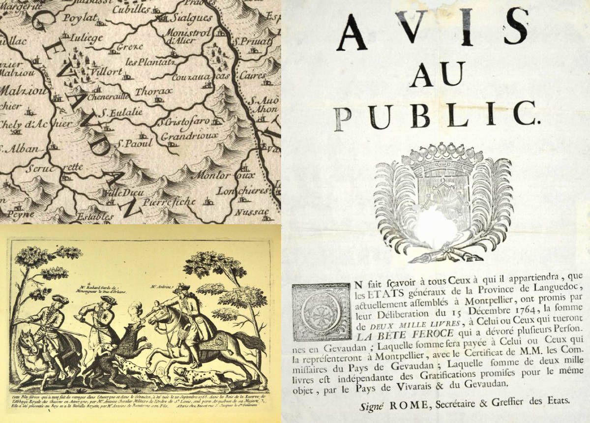 Bête du Gévaudan et loups en Haute-Loire