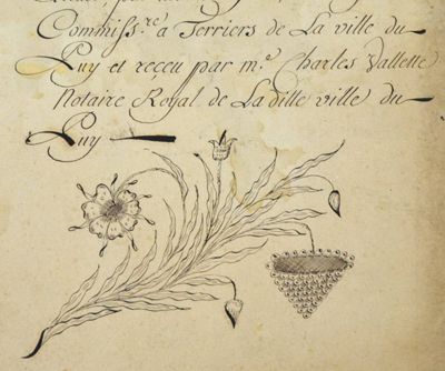 Archives départementales de la Haute-Loire. Illustration au motif végétal en page de titre du terrier de La baronnie d'Esplantas (1 E 299, page de titre, détail).