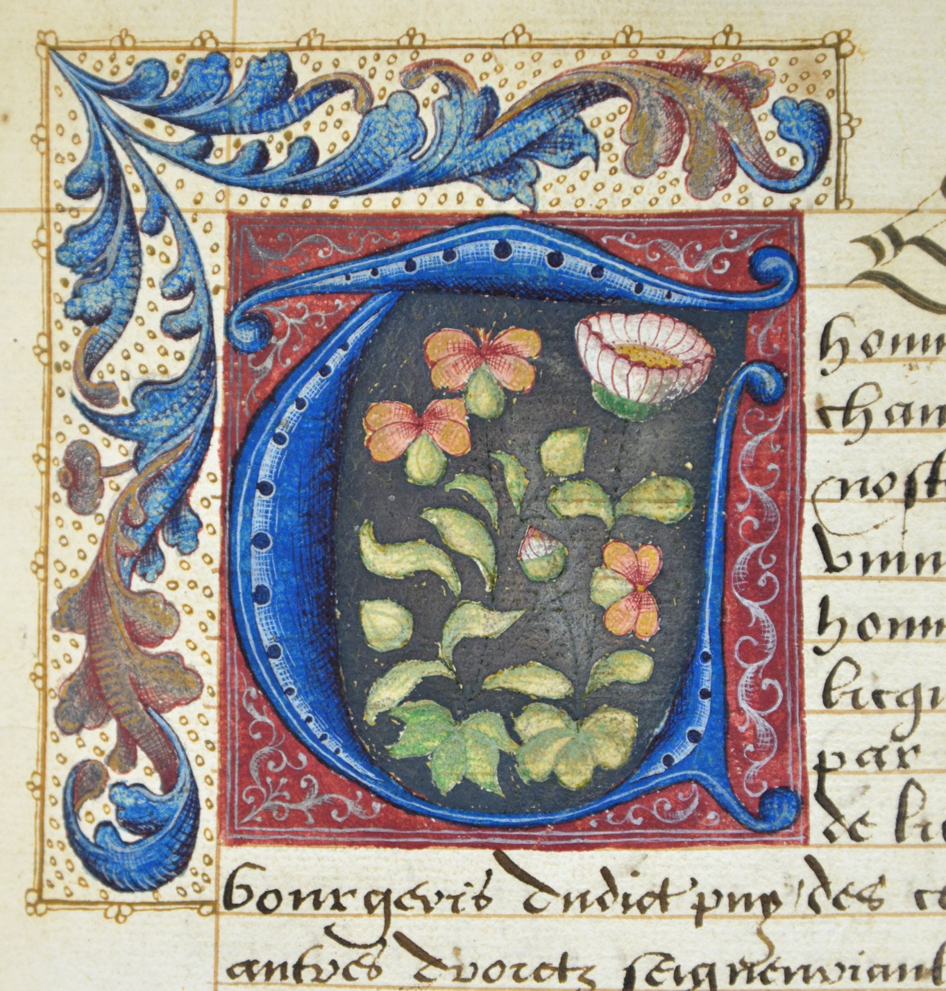 Terrier de Mézères